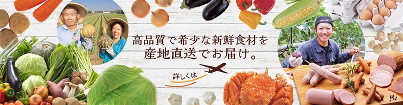 �H�c�Y���Z���N�V�������T�C�g